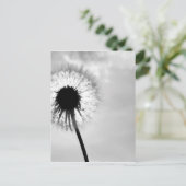 Zwart mit Paardebloem Black und White Dandelion Postkarte (Stehend Vorderseite)
