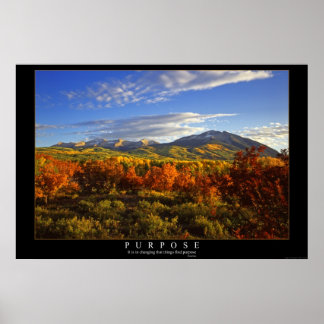 Zweck Poster
