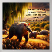 Zwei Aardvark Ausschreibung Anteater Mütterliche L Poster (Vorne)