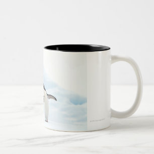 Zwei Adelie-Pinguine, die auf einem Blatt des Zweifarbige Tasse
