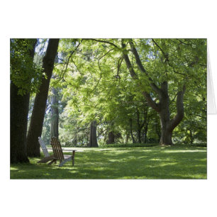 Zwei Adirondack Stuhl-Karte