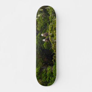 Zwei Adler malerisch sitzend Skateboard