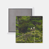 Zwei Adler mit Painterly Magnet (Vorderseite/Rückseite)