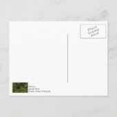 Zwei Adler Painterly Vielen Dank Postkarte (Rückseite)