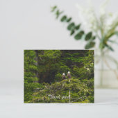 Zwei Adler Painterly Vielen Dank Postkarte (Stehend Vorderseite)