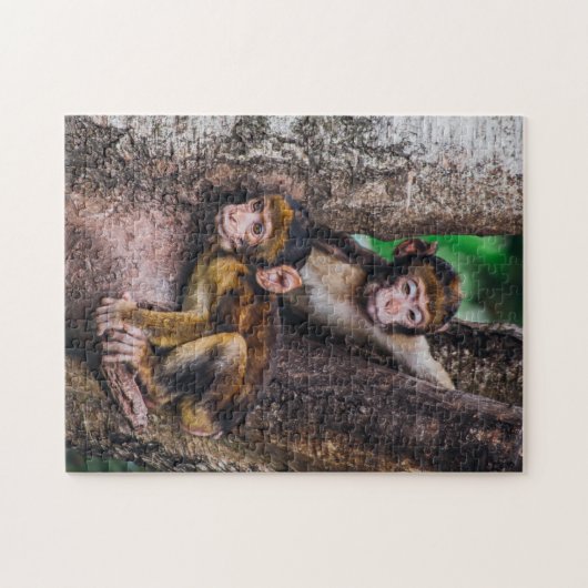 Zwei Affen im Baumaffenwald Puzzle (Horizontal)