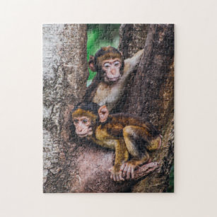 Zwei Affen im Baumaffenwald Puzzle
