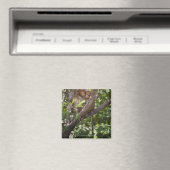 Zwei Affen in einem Baum Magnet (In Situ (Geschirrspüler))
