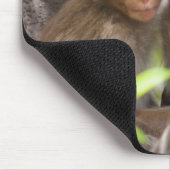 Zwei Affen in einem Baum Mousepad (Ecke)