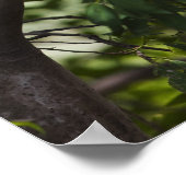 Zwei Affen in einem Baum Poster (Ecke)