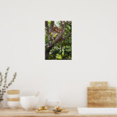 Zwei Affen in einem Baum Poster (Küche)
