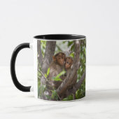 Zwei Affen in einem Baum Tasse (Links)