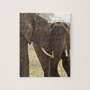 Zwei Afrikaner-Bush-Elefanten (Loxodonta Africana) Puzzle