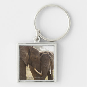Zwei Afrikaner-Bush-Elefanten (Loxodonta Africana) Schlüsselanhänger