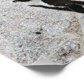 Zwei afrikanische Pinguine, Boulders Beach, Südafr Poster (Ecke)