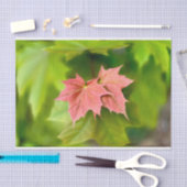 Zwei Ahorn-Blätter Seidenpapier (Handwerk)