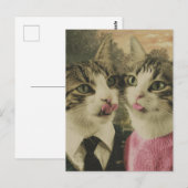 Zwei Alberne Katzen Postkarte (Vorne/Hinten)