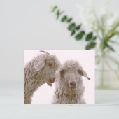 Zwei Alberne Ziegen Postkarte (Stehend Vorderseite)