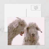 Zwei Alberne Ziegen Postkarte (Vorne/Hinten)