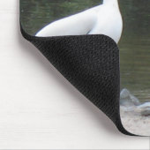 Zwei alte Freunde Pelikans Mousepad (Ecke)