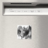 Zwei Amaryllis-Blumen Foto Magnet (In Situ (Geschirrspüler))