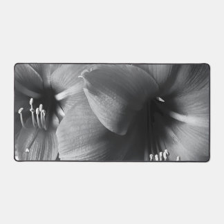 Zwei Amaryllis-Blumen Foto Schreibtischunterlage