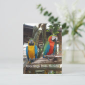 zwei Ameisen- oder Papageienvögel Postkarte (Stehend Vorderseite)