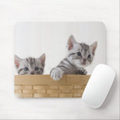 Zwei amerikanische Kurzhaarkätzchen Mousepad (Mit Mouse)