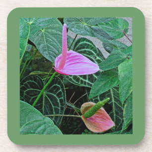"ZWEI ANTHURIUM" SET MIT 6 HARTPLASTIK-UNTERSETZER UNTERSETZER