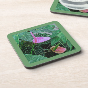 "ZWEI ANTHURIUM" SET VON 6 HARTEN PLASTIKEN UNTERS UNTERSETZER