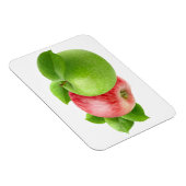 Zwei Äpfel Magnet (Rechte Seite)