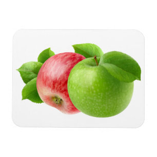 Zwei Äpfel Magnet
