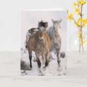 Zwei Appaloosas Horse Grußkarte Karte (Gelbe Blume)