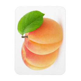 Zwei Aprikosen Magnet