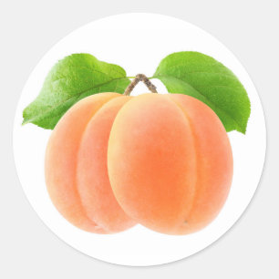 Zwei Aprikosen Runder Aufkleber