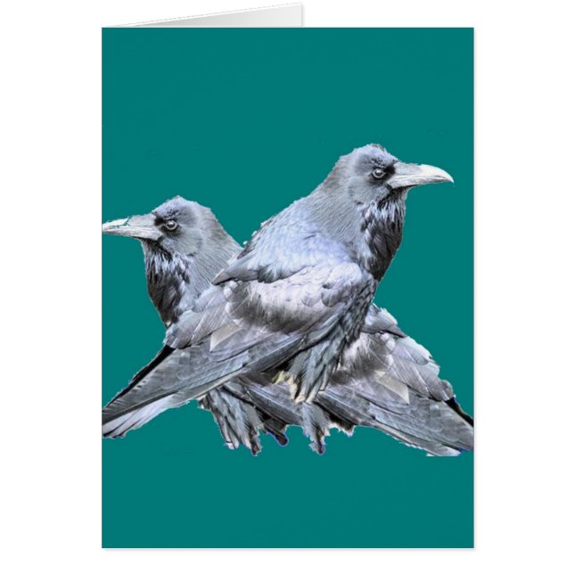 Zwei aquamarine Geschenke von Ravens (Vorne)