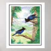 Zwei Aquarell-Stellar-Jay-Vögel Wald Bäume Poster (Vorne)
