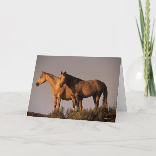 Zwei Araber Stehend, zusammen Abend Light Karte (Vorderseite)