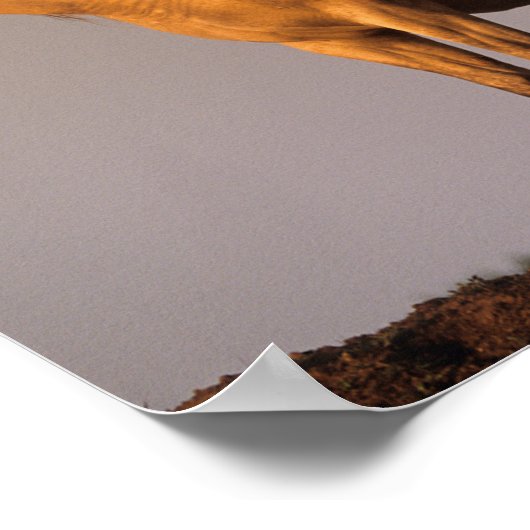 Zwei Araber Stehend, zusammen Abend Light Poster (Ecke)