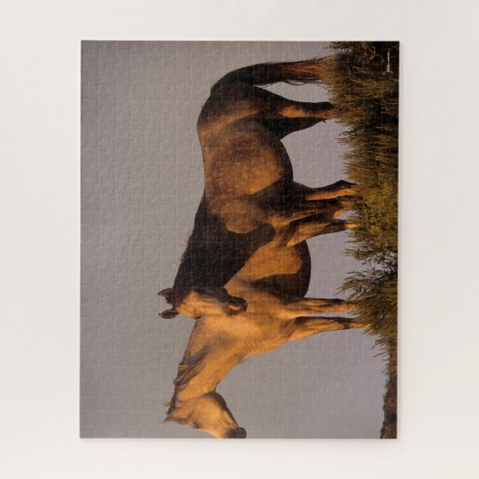 Zwei Araber Stehend, zusammen Abend Light Puzzle (Vertikal)