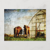 Zwei arbeitsbereite Pferde Postkarte (Vorderseite)