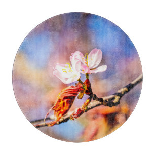 Zwei atemberaubende Kirschblüten. Rosa, blauer Hin Schneidebrett
