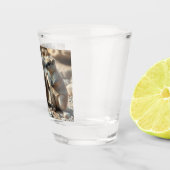 Zwei Aussie Rottnest IsLand Quokkas, Schnapsglas (Rechts)