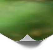 Zwei Baby Bunnies Poster (Ecke)