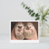 Zwei Baby-Igel Postkarte (Stehend Vorderseite)