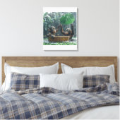 Zwei Baby Orangutans Leinwanddruck (Insitu (Schlafzimmer))