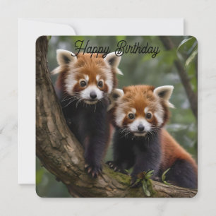 Zwei Baby Red Pandas, flache Geburtstagskarte