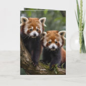 Zwei Baby Red Pandas, Geburtstagskarte Karte (Rückseite)