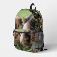 Zwei Baby Tortoiseshell Guinea Schweine,