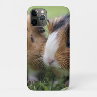 Zwei Baby Tortoiseshell Guinea Schweine,